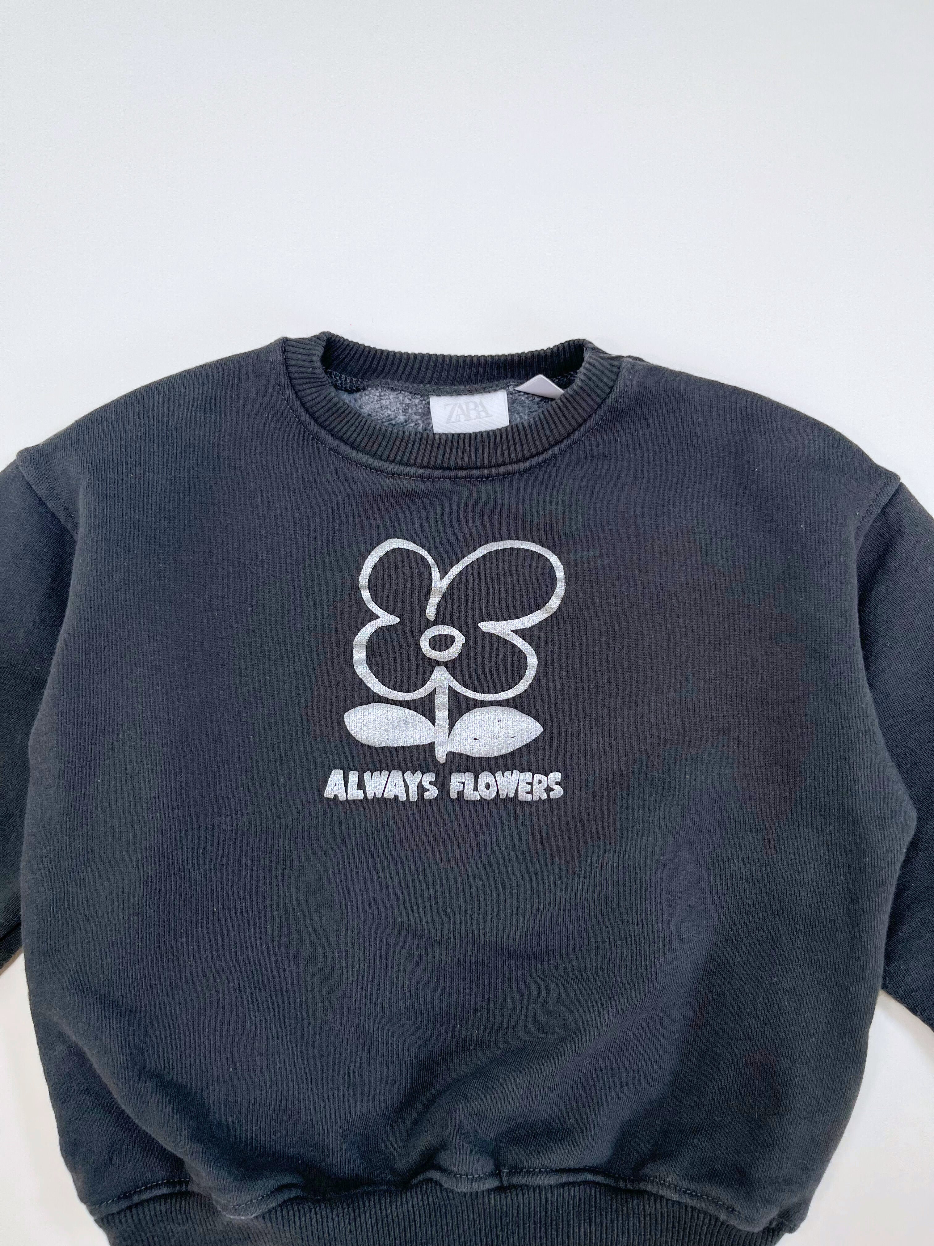 Zara – Sweatshirt (Size 4–5 years)