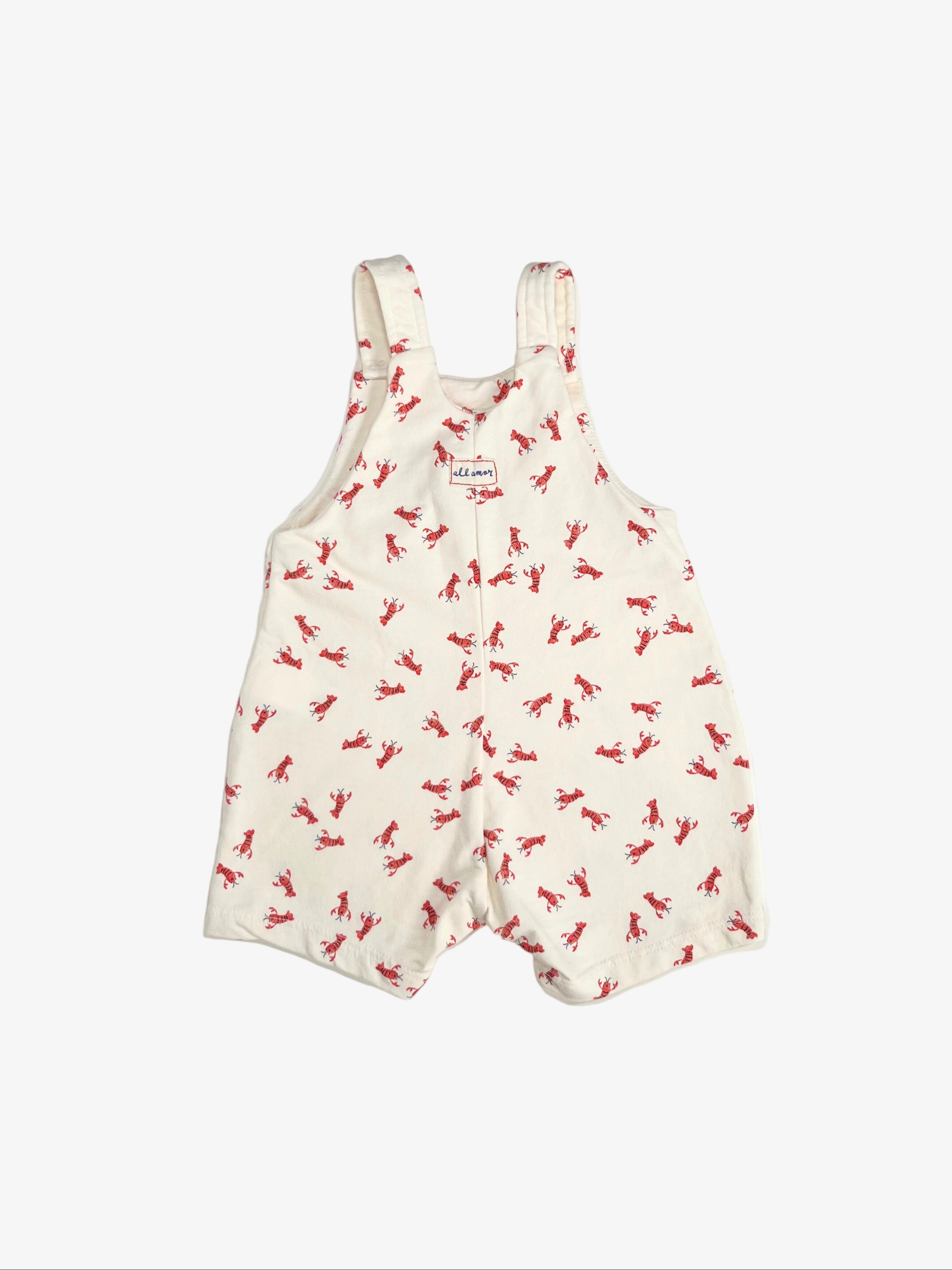 Zara – Baby Overalls (Size 6–9 Months)