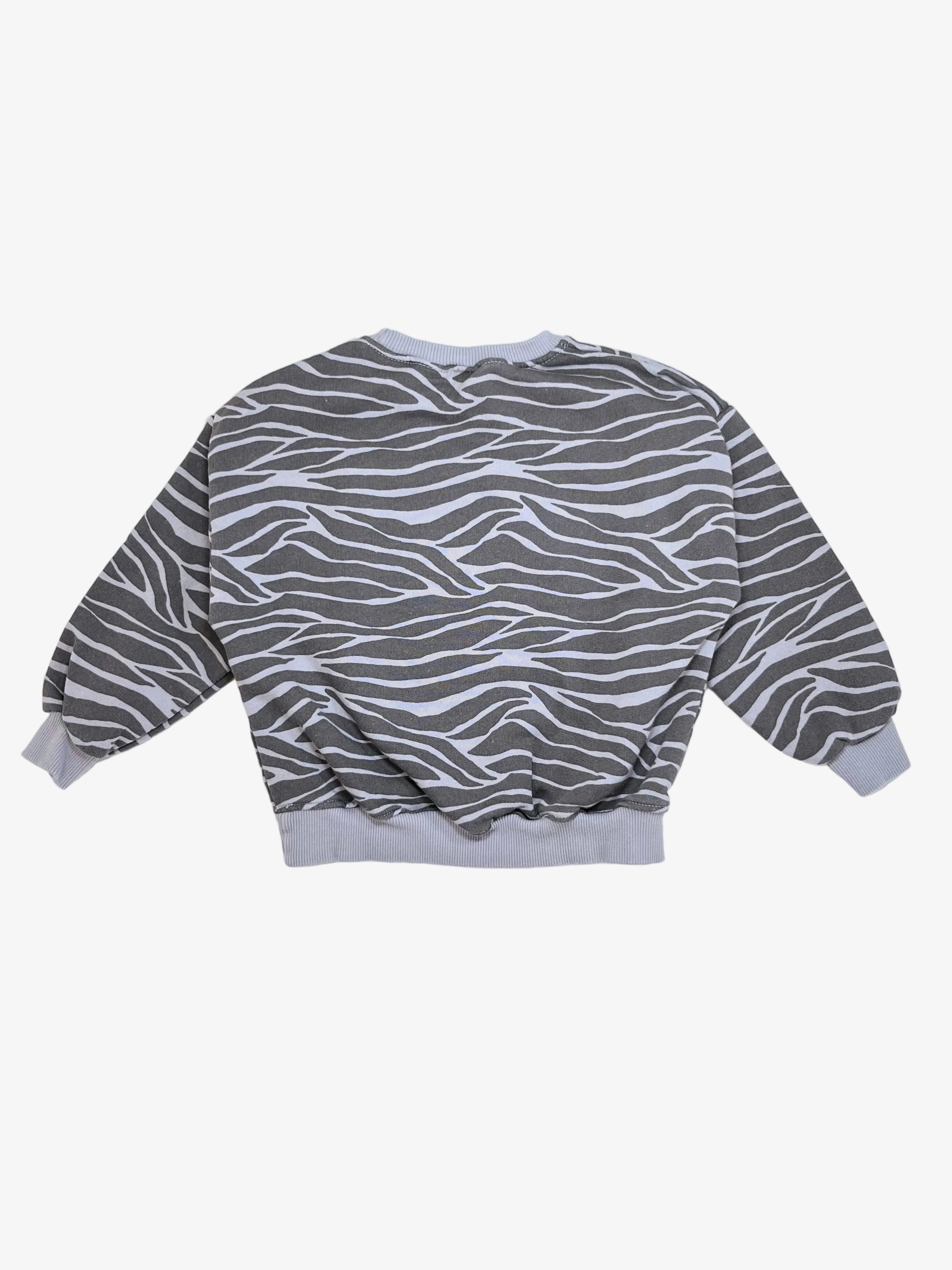Zara – Sweatshirt (Size 3–4 years)