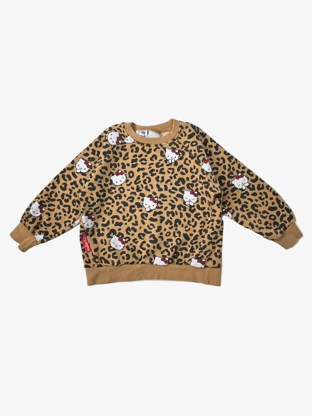 Zara – Sweatshirt (Size 5 years / 110 cm)