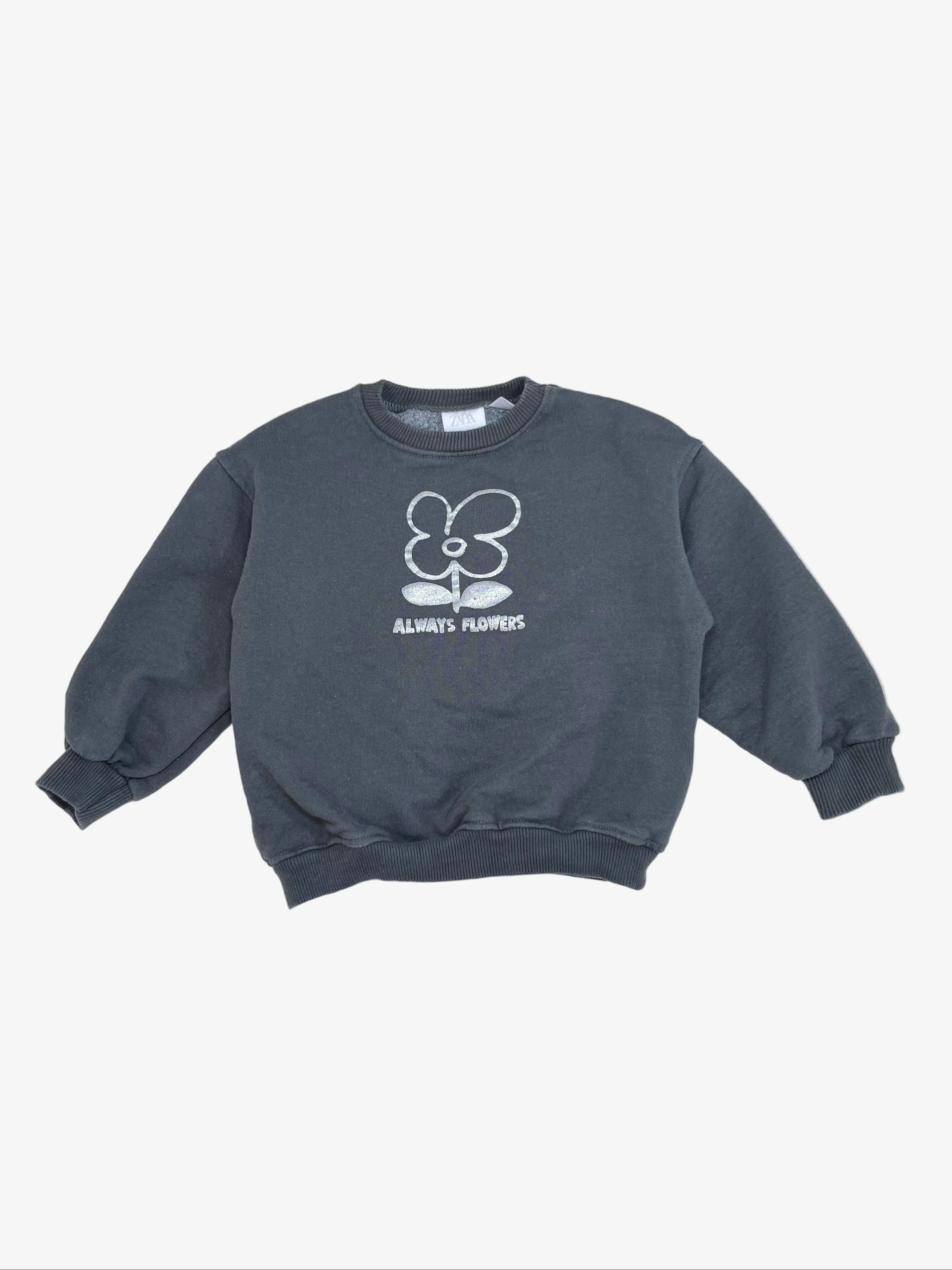 Zara – Sweatshirt (Size 4–5 years)