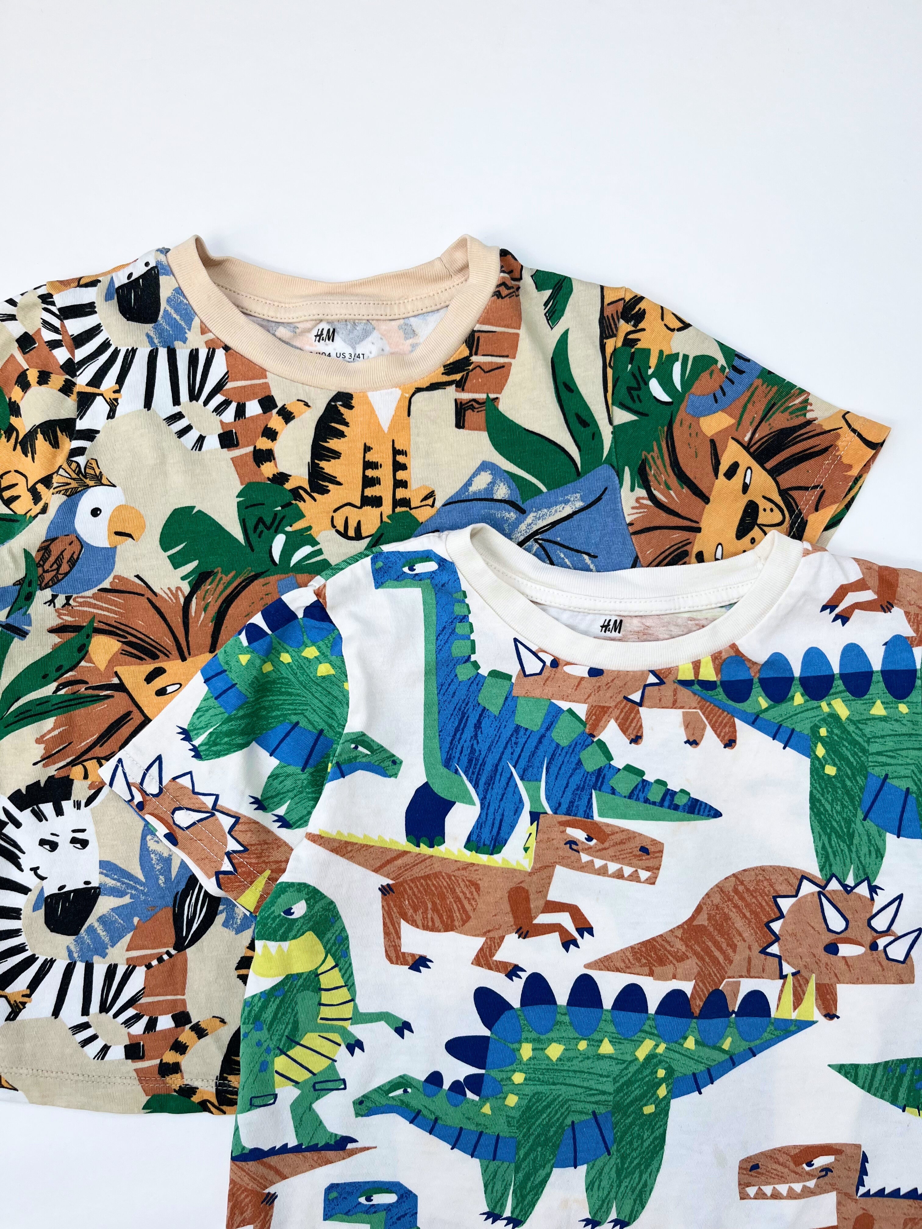 H&M – T-Shirt Set (Set of 2, Size  2–4 years)