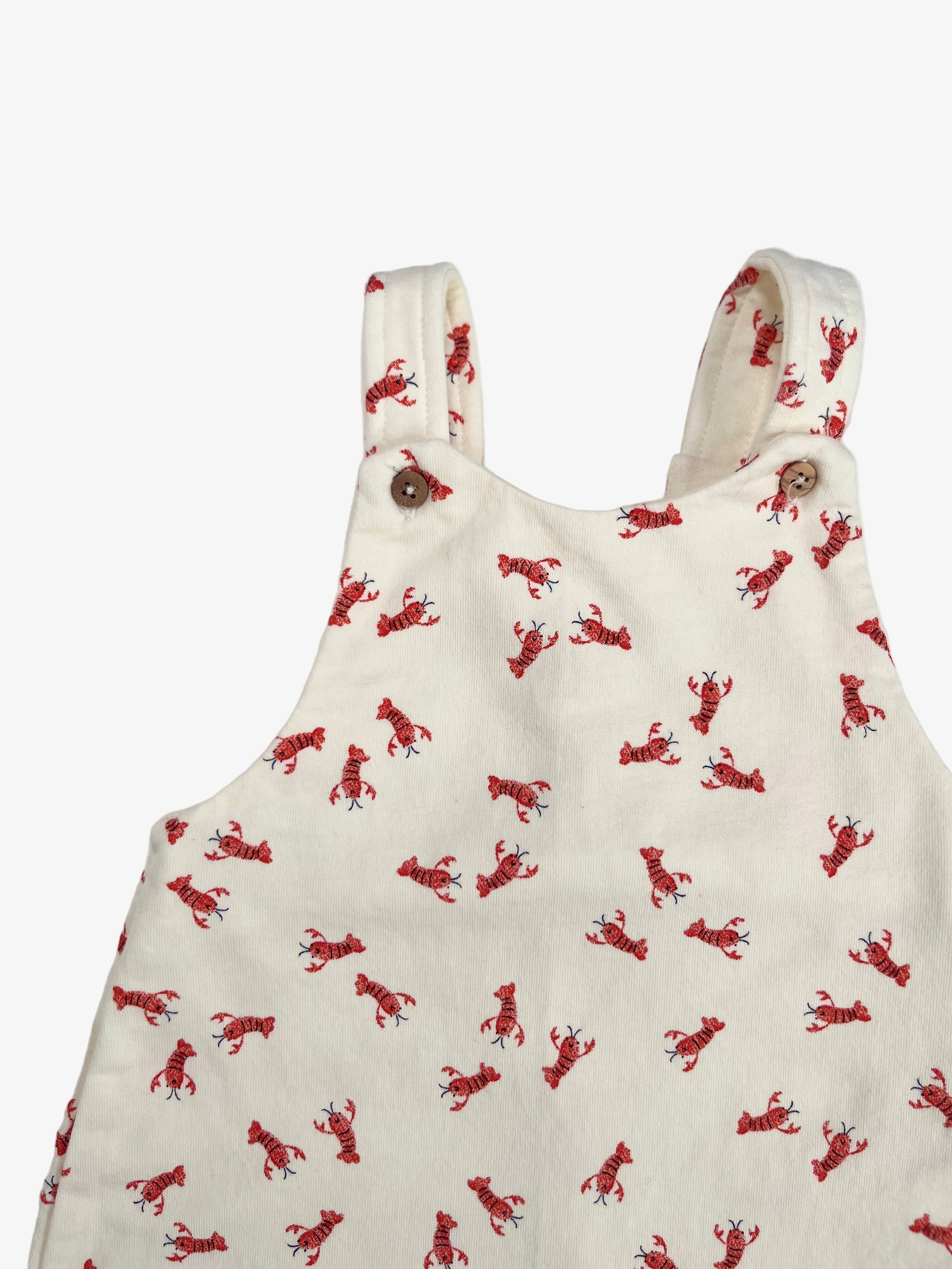 Zara – Baby Overalls (Size 6–9 Months)