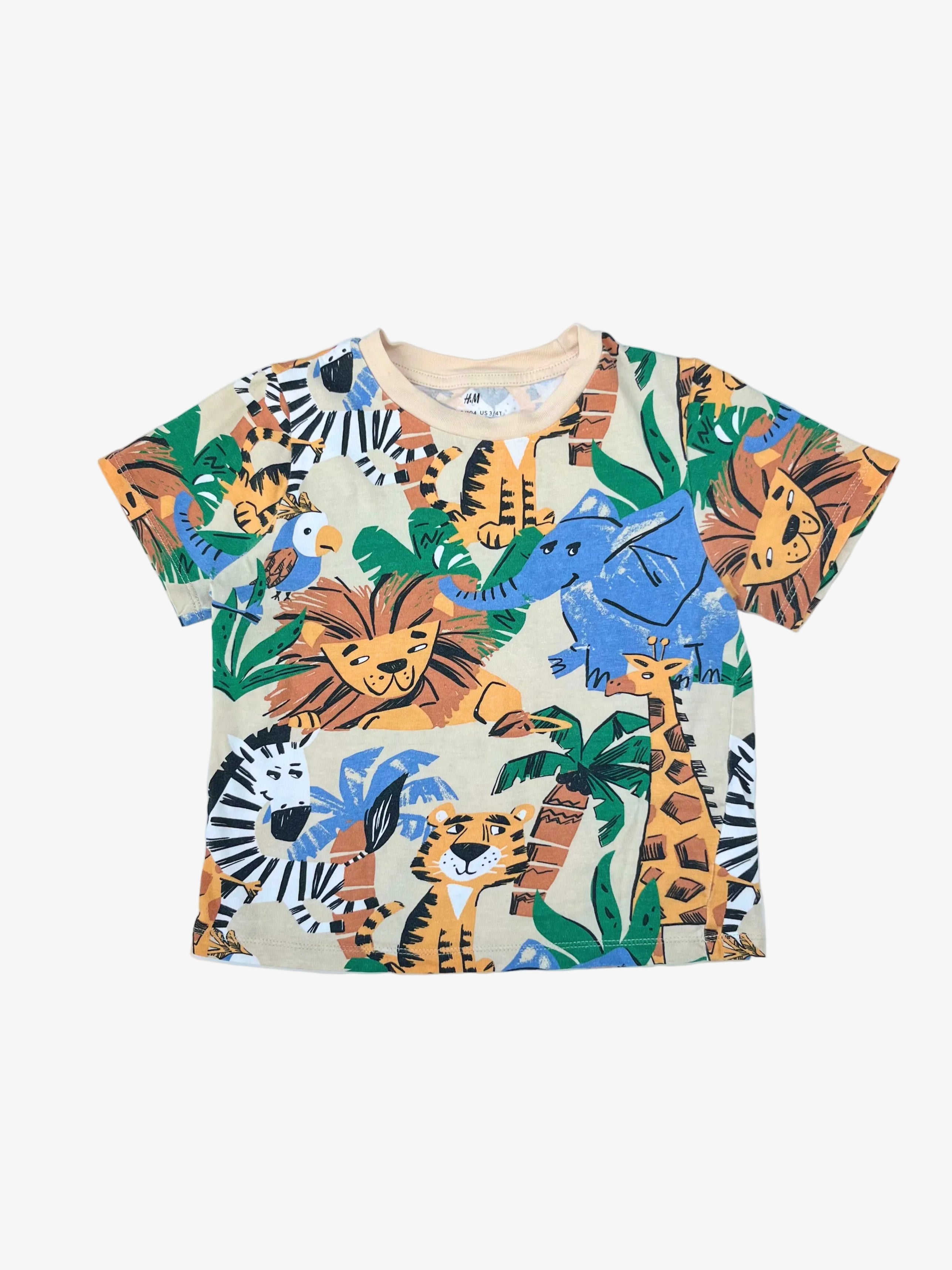 H&M – T-Shirt Set (Set of 2, Size  2–4 years)