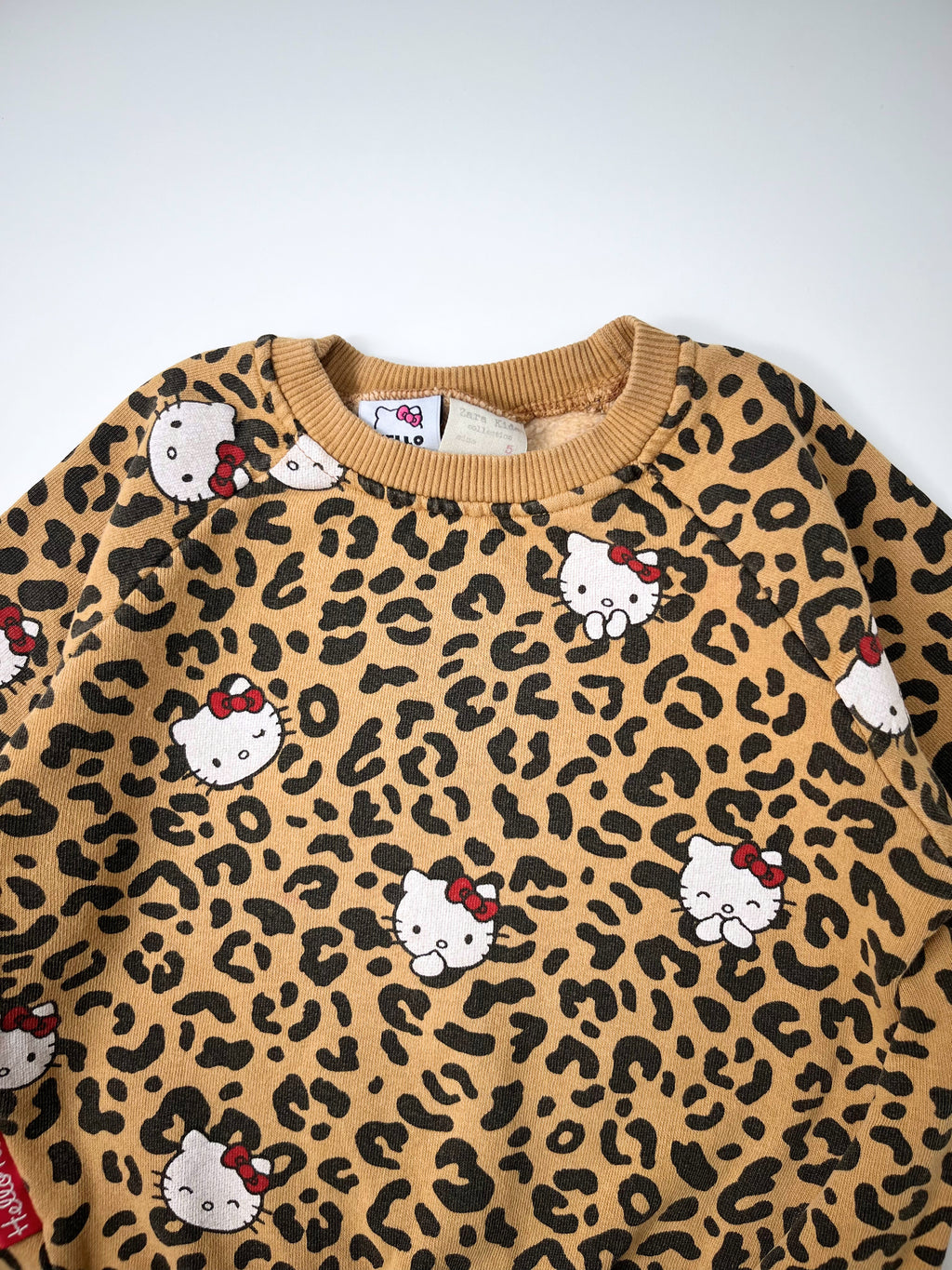 Zara – Sweatshirt (Size 5 years / 110 cm)