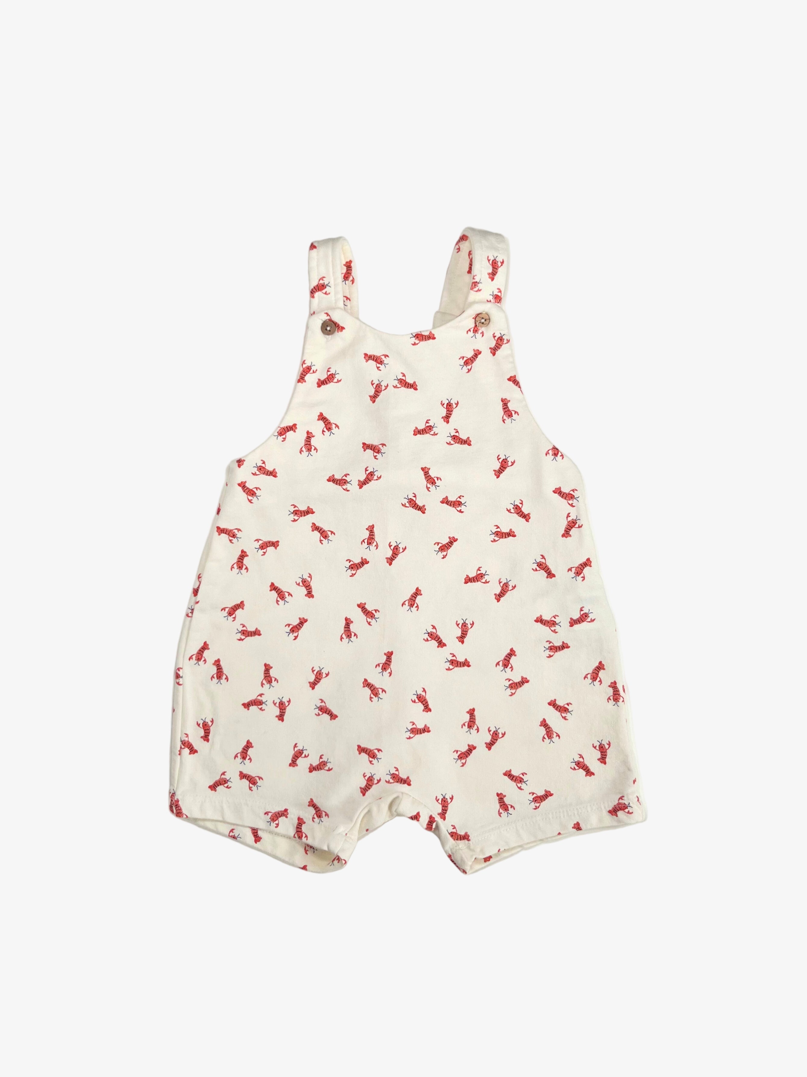 Zara – Baby Overalls (Size 6–9 Months)